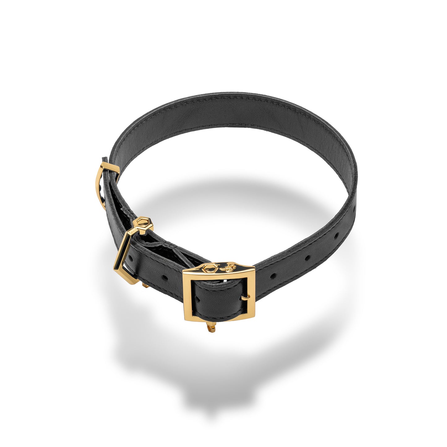 Era™ Collar