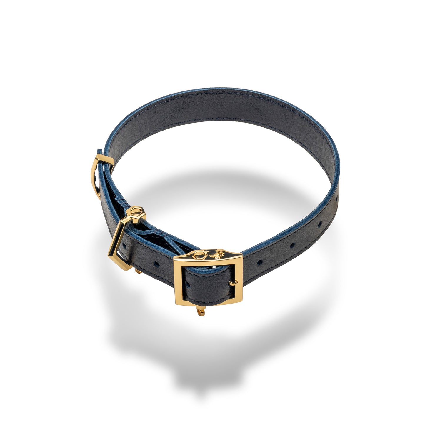 Era™ Collar