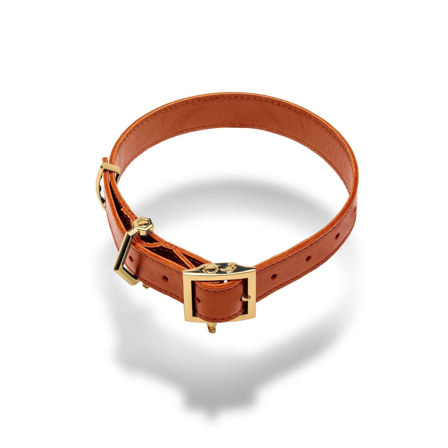 Era™ Collar