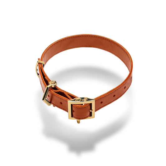 Era™ Collar