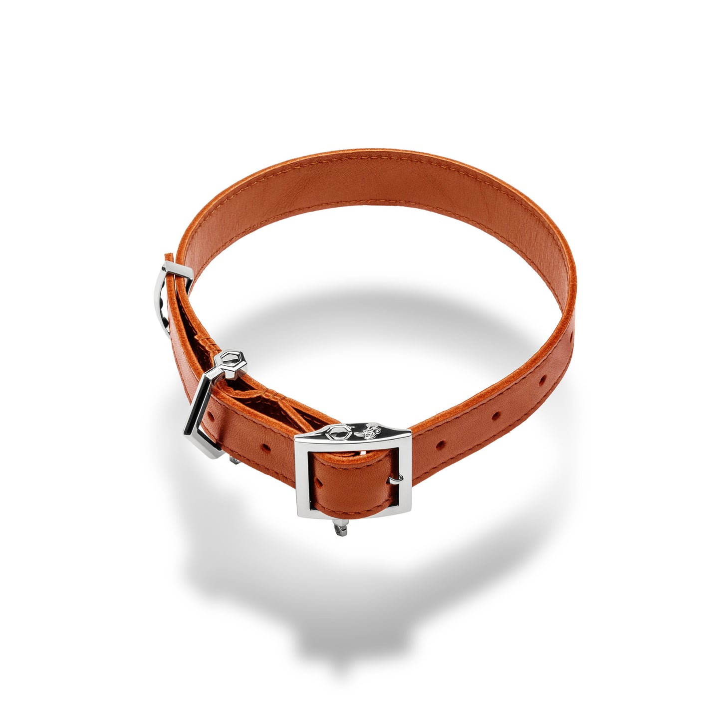 Era™ Collar